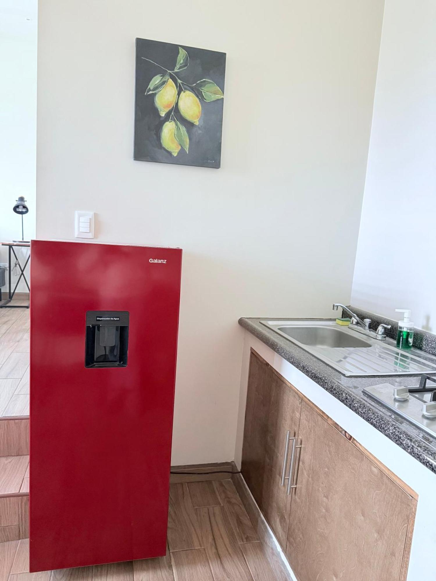 Cozy, Quiet & Pet Friendly Gated Patio Studio Ensenada Exteriör bild